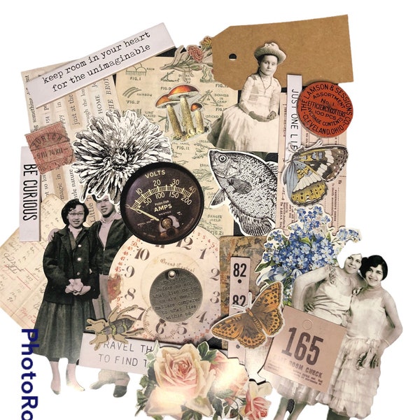 Tim Holtz Ephemera and ideaology  Variety pack. Cards, vignettes and junk journal must haves. Great crafter gift. Great mix