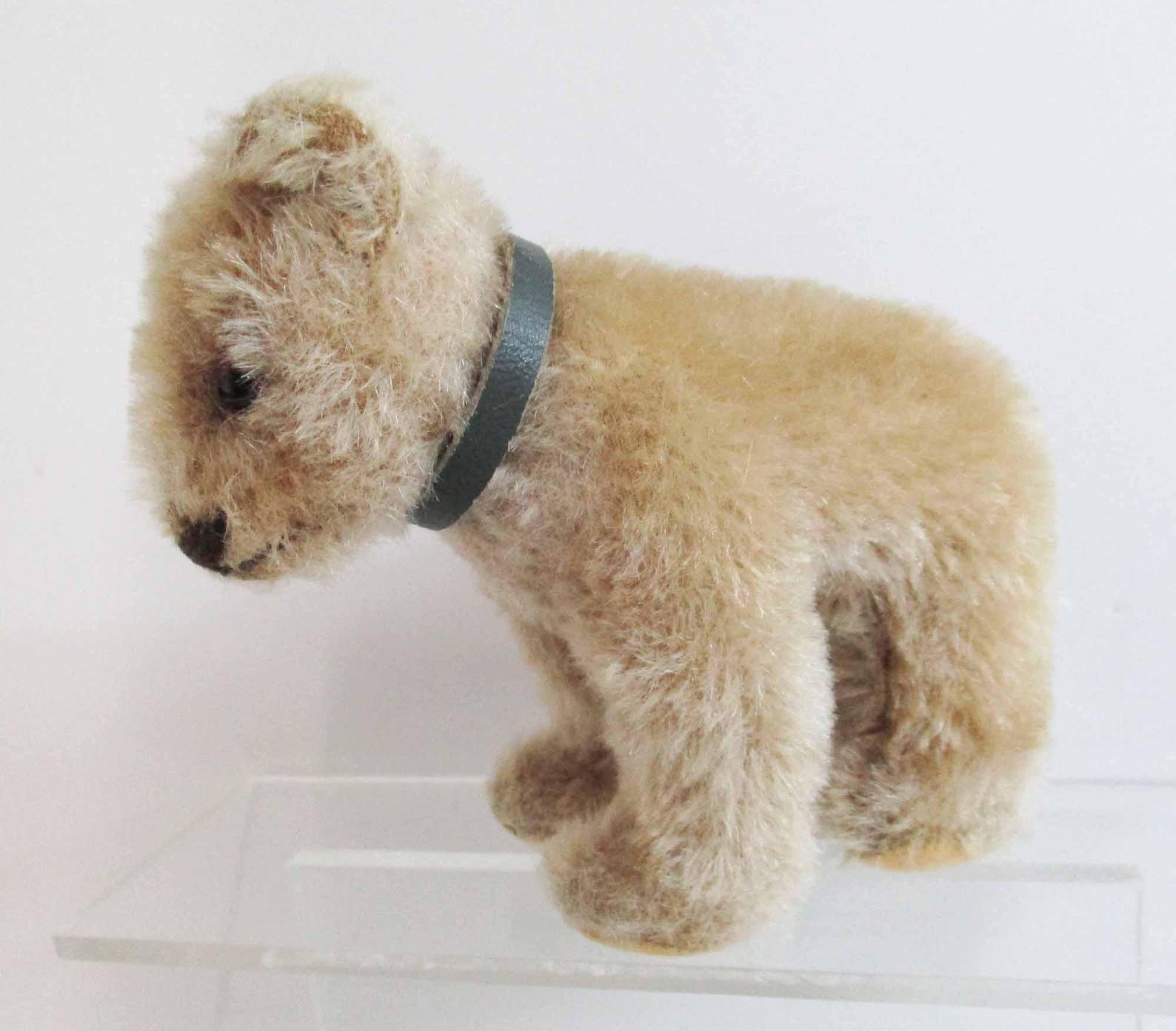 Vintage Steiff Jungbaer Bear Cub on All Fours 12 cm Mohair Glass Eyes 1950s