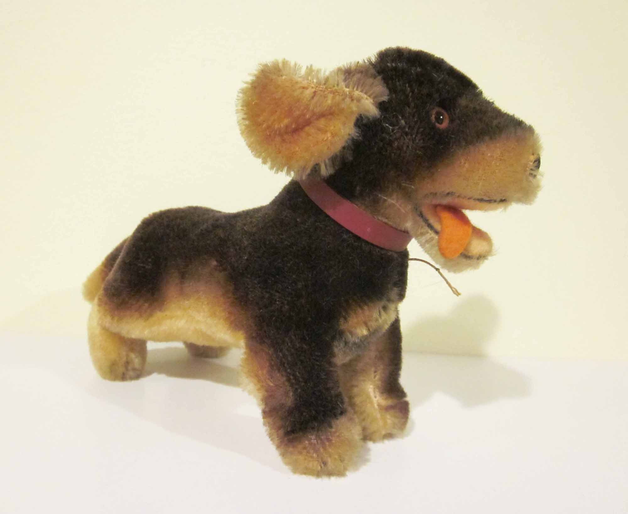 Steiff dachshund - Etsy 日本