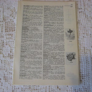 May include: A black and white dictionary page with French words and definitions. The page includes illustrations of a fishing lure and a turtle.
