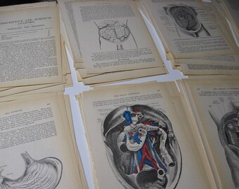 Vintage Grays Anatomy,Medical Book Pages,Medical Ephemera,25 Pages,Mixed Media,Collage Art,Circa 1970s