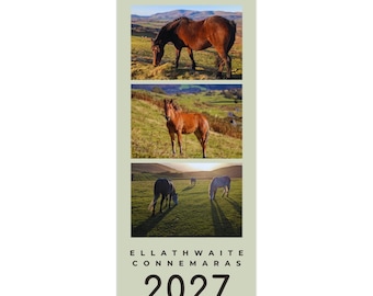 Peut inclure: Un calendrier mural vertical sur fond vert clair présentant trois photographies distinctes de chevaux dans des champs herbeux. Le texte indique ELLATHWAITE CONNEMARAS 2027 CALENDAR en lettres noires. Le calendrier est relié par une spirale métallique.