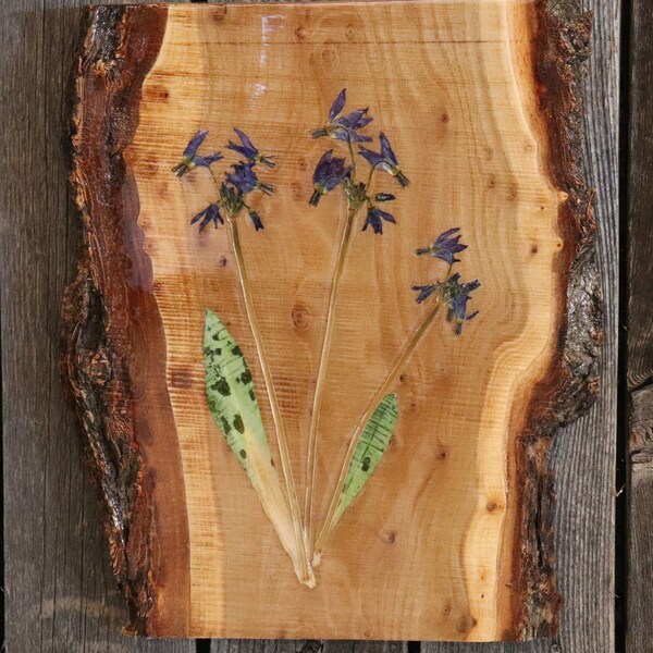 Live Edge Wall Art - Etsy