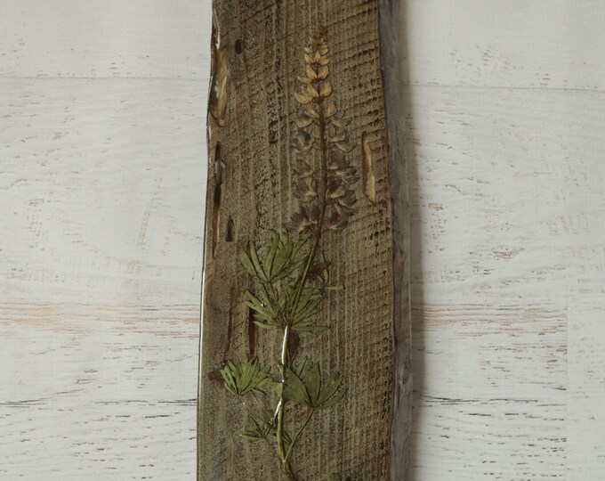 Wildflower Art! Real Wildflowers from Idaho on live edge pine wood, sealed with resin to hang on your wall. Lupine flowers.
