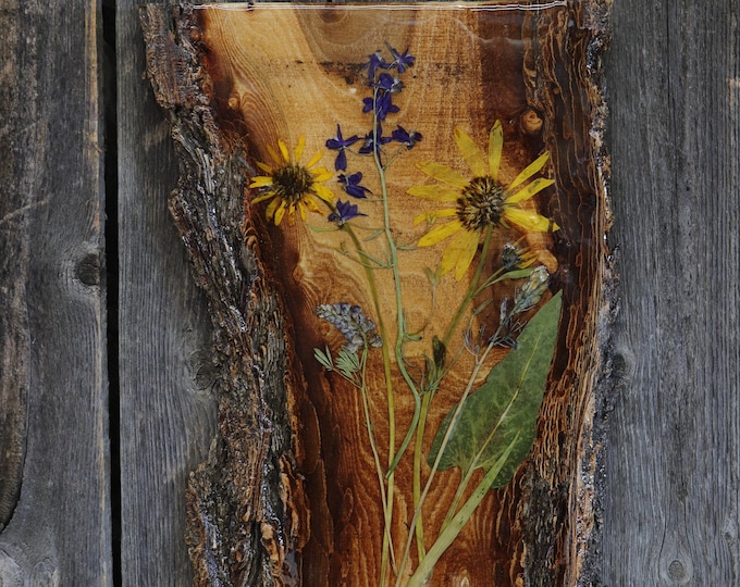 Live Edge Wildflower Art! Real Wildflowers from Idaho on live edge wood to hang on your wall.