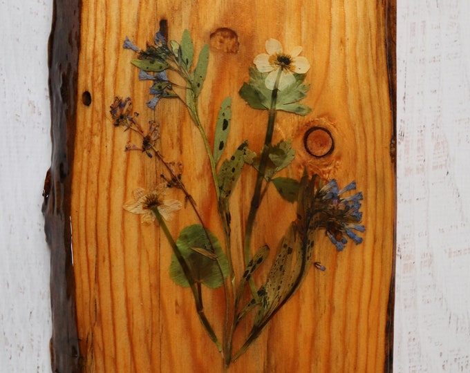 Wildflower Art! Real Wildflowers from Idaho on live edge pine wood to hang on your wall. Botanical wall hanging for the Country Chic look.