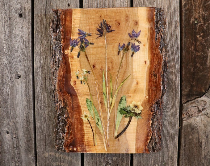 Live Edge Wildflower Art Wall Hanging! Real Wildflowers from Idaho on live edge wood to hang on your wall. Shooting Star & Camas Lily