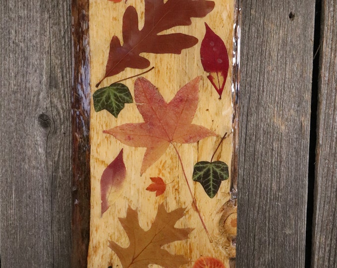 Live edge leaf picture. Fall Foliage Epoxy Resin Art Wall Hanging picture! Real Leaves from Idaho on live edge pine wood. Oak, sycamore, ivy