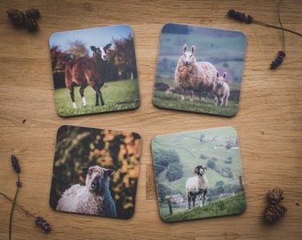 Set of 4 Coasters - Sheep