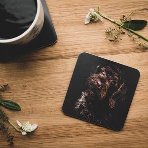 May include: A close-up of a brown and black dog's face. The dog is looking directly at the camera with a curious expression. The dog's fur is soft and fluffy. The background is a dark, blurred out.