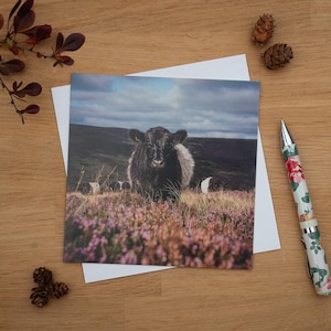 Puede incluir: Tarjeta de felicitación cuadrada con una vaca negra de pelo largo en un campo de flores moradas. La tarjeta está sobre un sobre blanco, con un bolígrafo floral y piñas sobre una superficie de madera.