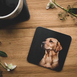 Könnte beinhalten: Ein brauner und weißer Hund vor einem schwarzen Hintergrund. Der Hund schaut nach links.