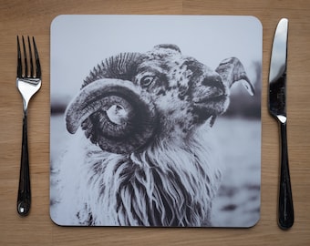 May include: A black and white photograph of a sheep with large curled horns. The sheep is looking to the right of the image.