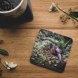 Coaster - If you go down to the woods, pheasant