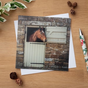 Carte de voeux - Bonny Boy, cheval au box
