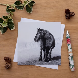 Cartão de felicitações - Fell Pony, Equino, Cavalo, Preto e Branco