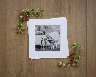 Always Beside You - Photographic Print, Texel Ewe and Lamb