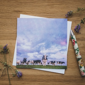 Carte de voeux - Beneath Sunset Skies, vaches laitières