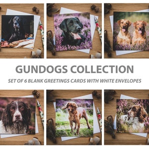 Gundogs Wenskaarten Set