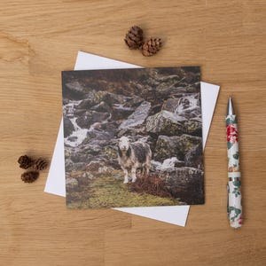 Biglietto d'auguri - Fiume profondo, montagna alta, pecora Herdwick, distretto dei laghi