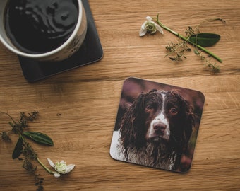 Coaster - Rainy Day Spaniel