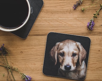 Coaster - Bracken, Yellow Labrador Puppy