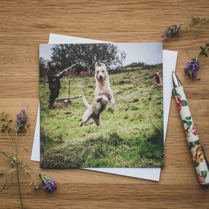 Cartão de felicitações - Jump for Joy, Labrador dourado em uma recuperação