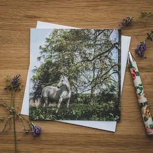 Carte de vœux - Equine Explorer, Cheval
