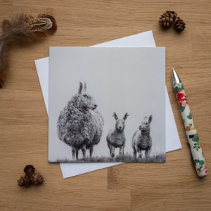 Greetings Card - Big Ears, Border Leicester Sheep, Ewe and Lambs