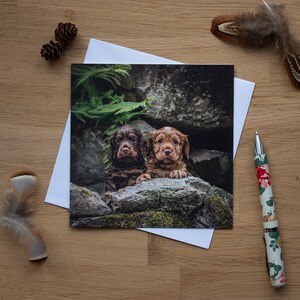 Carte de voeux - Double Trouble, chiots cocker