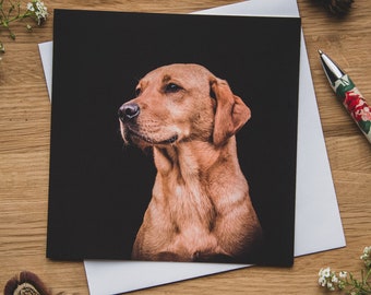 Greetings Cards - Ruby, Fox Red Labrador