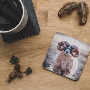 Coaster - Scottish Blackface, Sheep