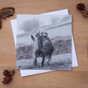 Grußkarte - Best Foot versendend, gelber Labrador apportiert einen Fasan