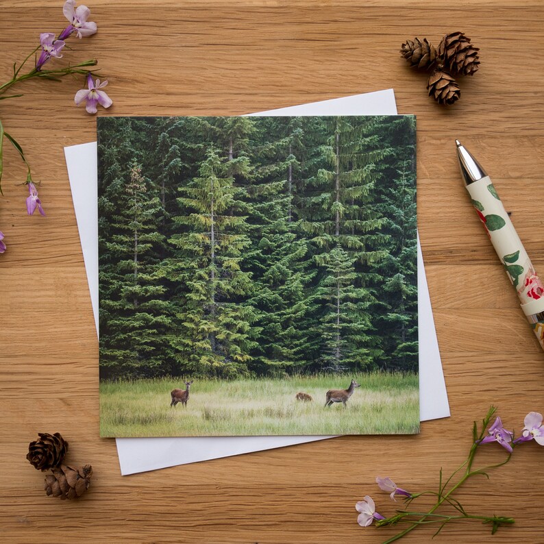 Greetings Card Grazing in Griffin Forest, Herd of Deer image 1
