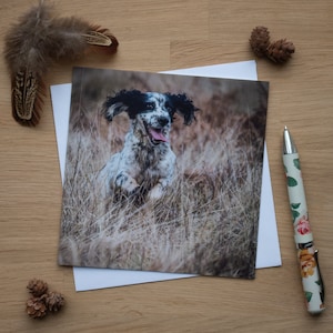 Wenskaart - Lente in haar stap, zwart-wit Cocker Spaniel