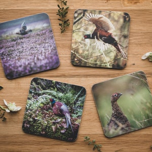 Set of 4 Coasters - Game Birds, Pheasant, Grouse