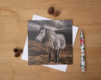 May include: A greeting card featuring a majestic white horse with long flowing mane, set against a backdrop of rolling hills and a dramatic, cloudy sky. A floral patterned pen and two pinecones are also visible.