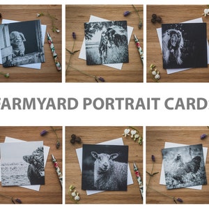 Conjunto de cartões de felicitações de retratos de fazenda