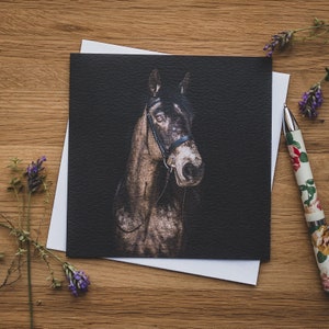 Carte de voeux - Beauté bridée, cheval