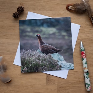 Cartão de felicitações - Fama, Grouse em Heather