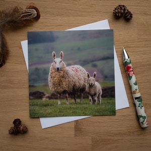 Biglietto di auguri - Border Leicesters, pecora e agnello