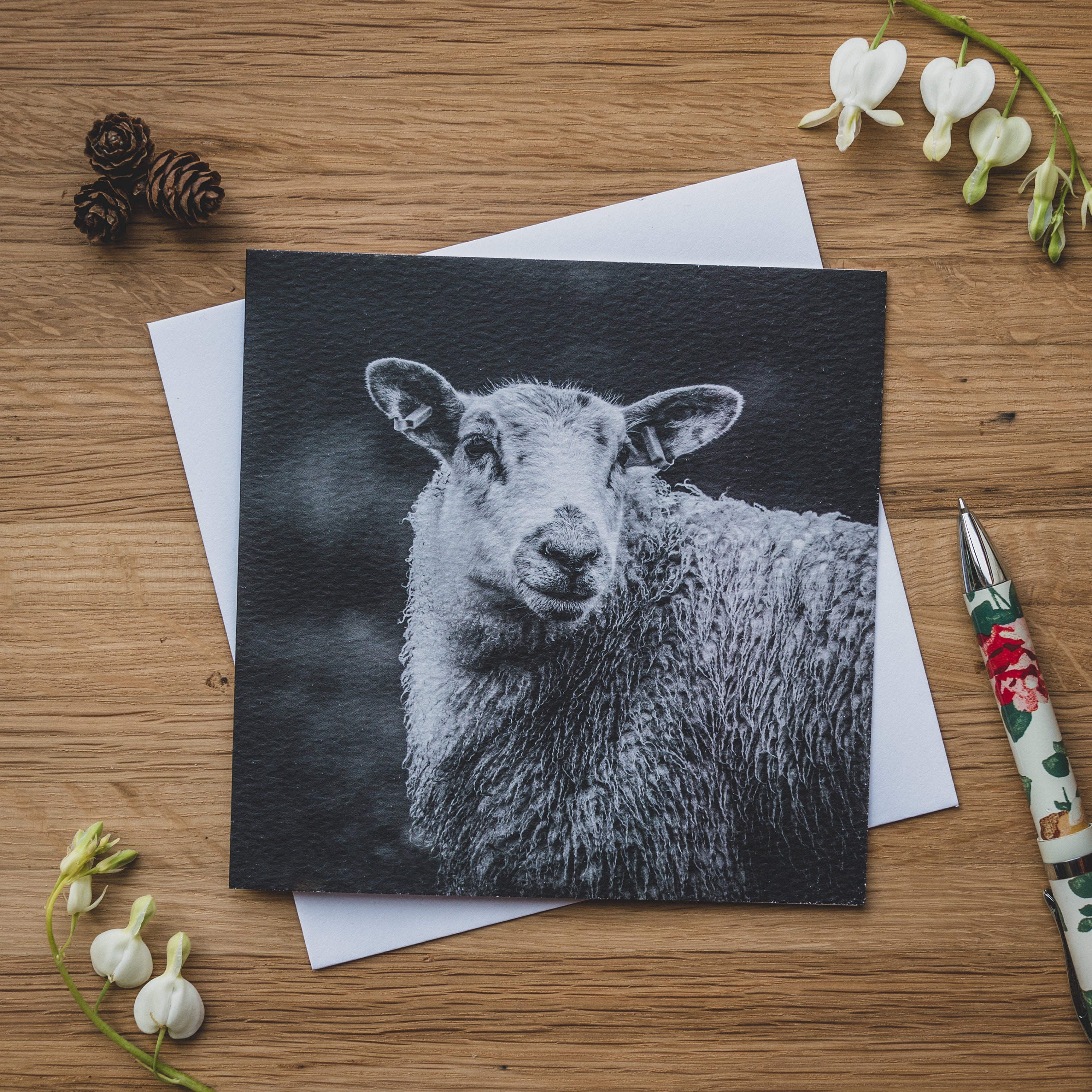 Greetings Card - Hey Ewe, Sheep - Etsy