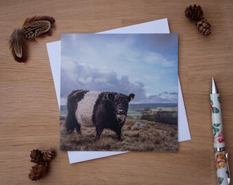 May include: A black and white cow with a fluffy coat stands in a field with a cloudy sky in the background.
