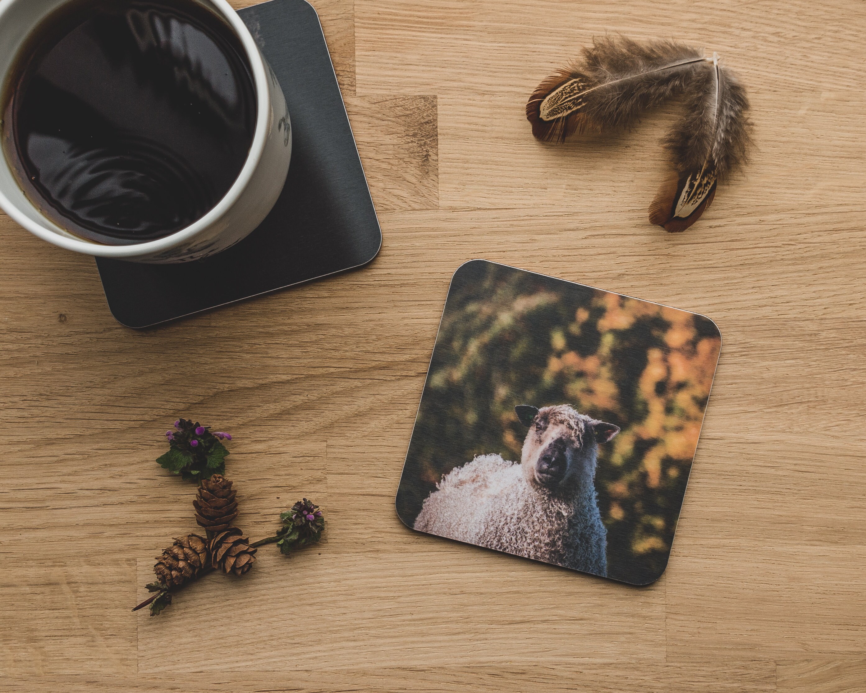 Luccio Di Fleetwith, Pecore Del Herdwick Ed Agnelli Fotografia Stock