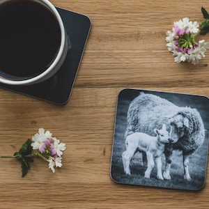 Coaster - Woolly Kisses, Ewe and Lamb, Sheep