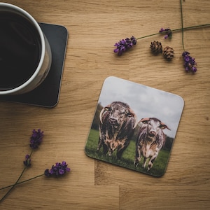 Untersetzer - Mr & Mrs, Longhorn Rinder, Stier und Kuh