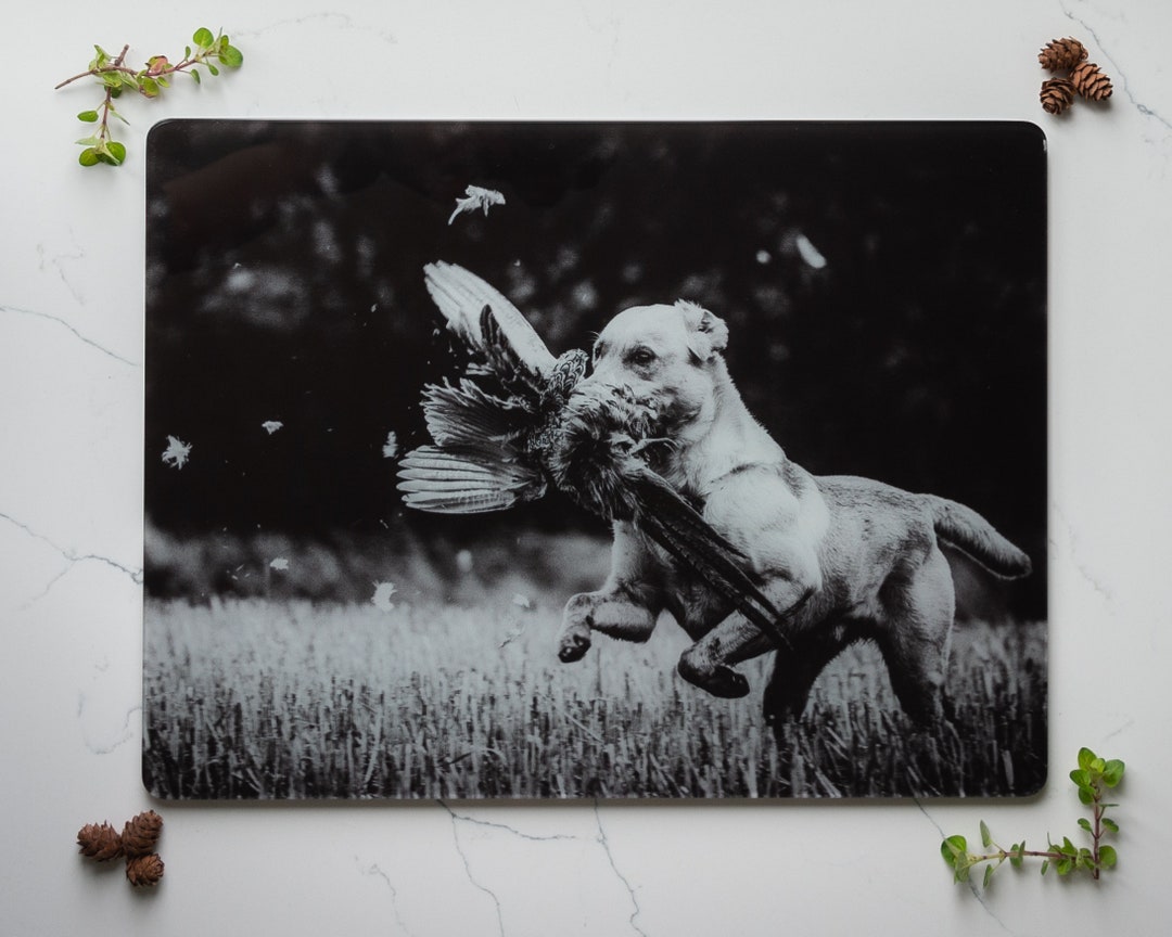 Retrieve Glass Worktop Saver Yellow Labrador Dog Retrieving Etsy