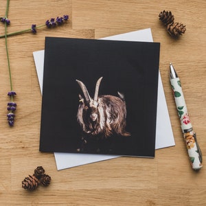Greetings Card - Pygmy Goat