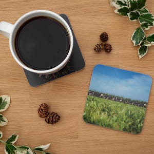 Coaster - Följ ledaren, Mjölkkor, Kor som kommer hem, Holstein, Fresian