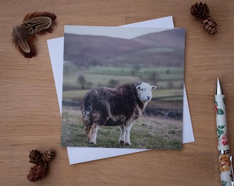 Greetings Card - Herdwick, Ewe, Sheep